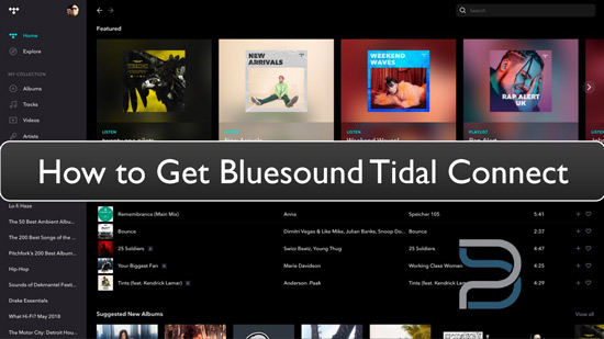 tidal bluesound