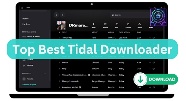 tidal downloader