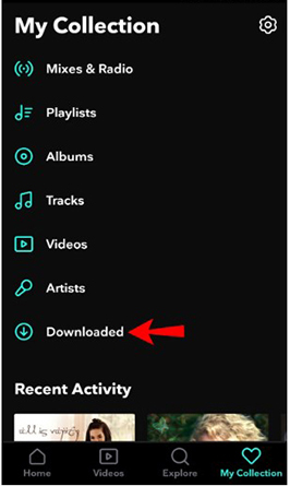 tidal music downloads on android