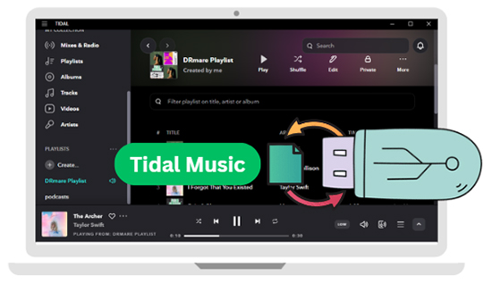 tidal to usb