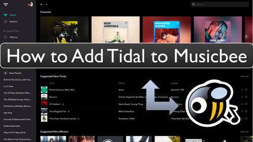add tidal to musicbee