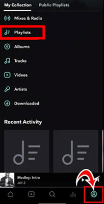 my collection on tidal app