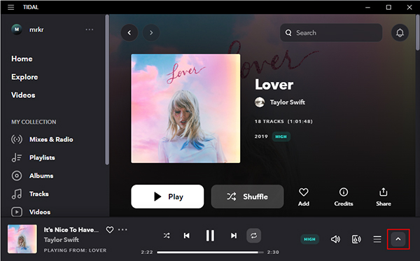 enter tidal full screen window