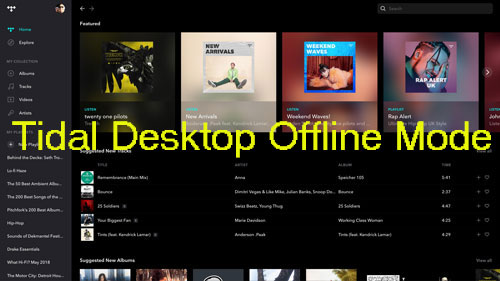 tidal offline mode