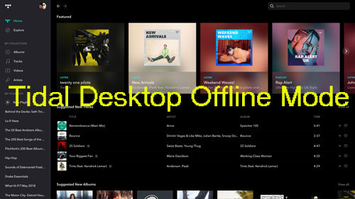 tidal has no offline mode on desktop