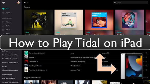 play tidal on ipad