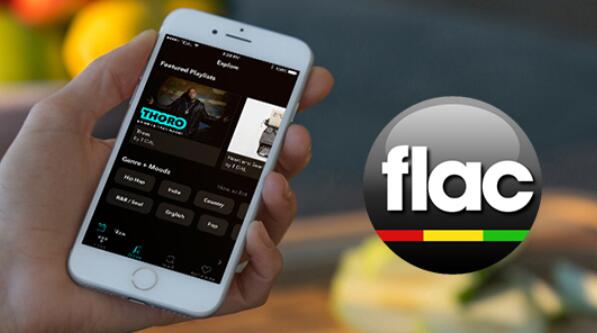 tidal flac download