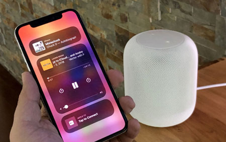 Tidal homepod hot sale