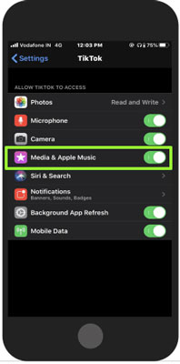 connect apple music to tiktok with the settings app on ios