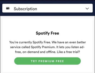 try spotify premium on ipad