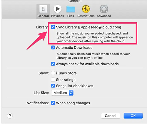 turn off icloud music library on mac