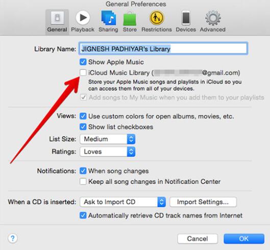 turn on icloud music library windows