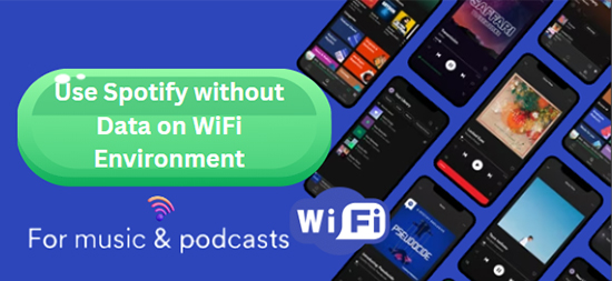 use spotify without data on wifi