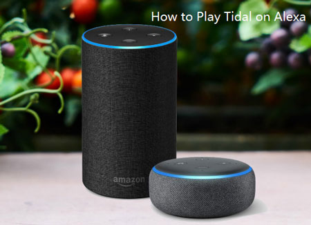 play tidal on alexa