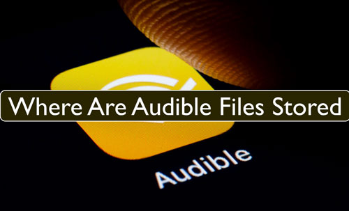 where are audible books stored