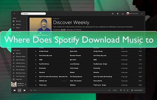 where does spotify download music to