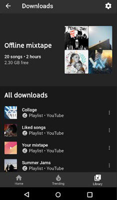check youtube music downloads on library