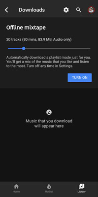 turn on offline mixtape to download youtube music on iphone