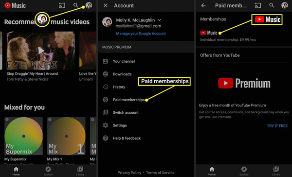 see youtube music paid memberships iphone