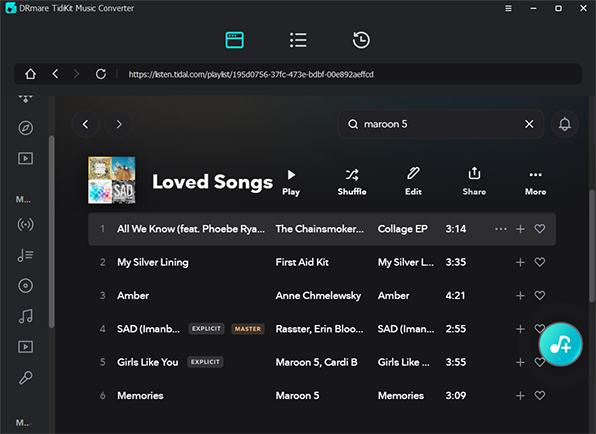 drmare tidal music converter