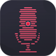 audio capture